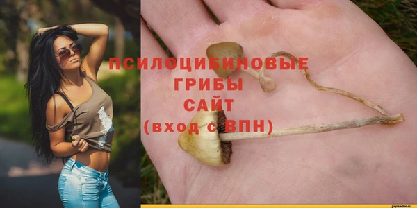 стаф Каменск-Шахтинский
