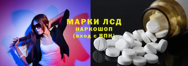 стаф Каменск-Шахтинский