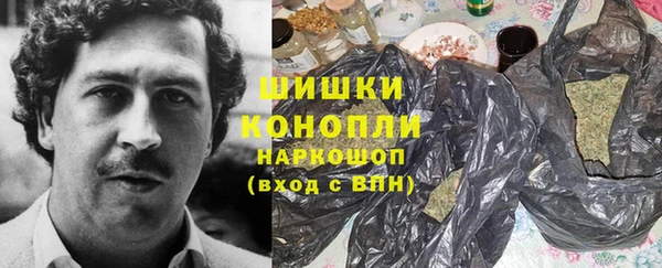 стаф Каменск-Шахтинский