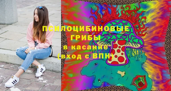 тгк Каменка