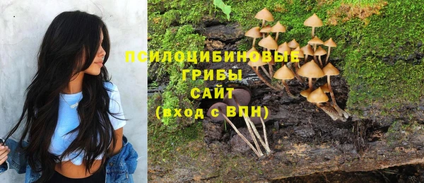 тгк Каменка