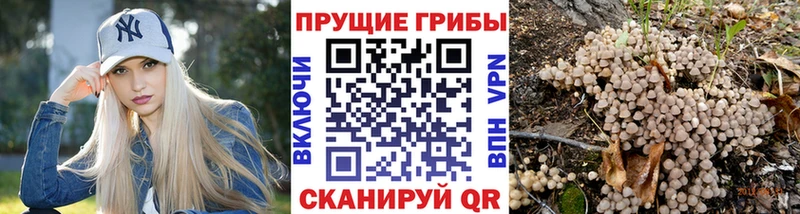 Галлюциногенные грибы мицелий  Купить закладки  Енисейск 